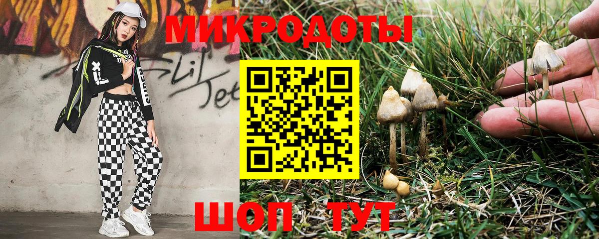 Галлюциногенные грибы MAGIC MUSHROOMS  где можно купить   Псилоцибиновые грибы мухоморы  Нижний Тагил  Вход с VPN 